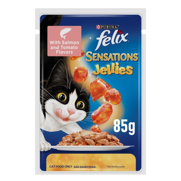 Felix Sensations Salmon & Tomato Cat Food 85g