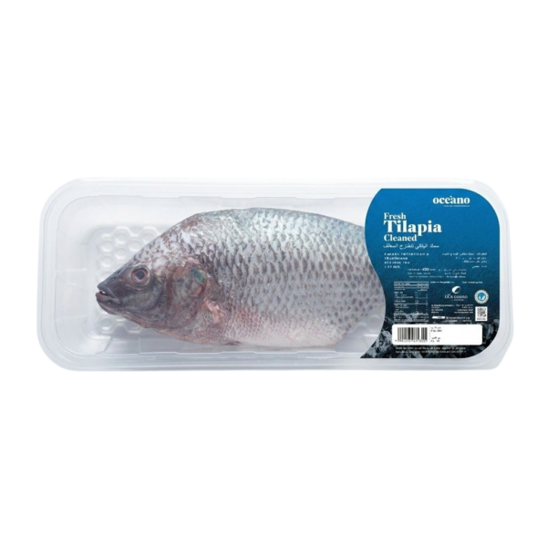 OCEANO FRESH SALMON HEAD WITH BONE 600GRAMS